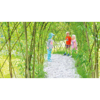 Weidenpflanzen für  Weidentunnel (Set für einen 3 m Tunnel)