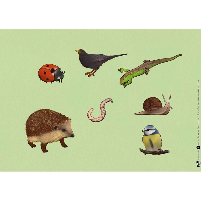 Kamishibai Karten Im Garten mit Emma und Paul