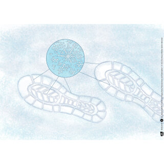 Kamishibai Karten Warum glitzert Schnee? Von Pappschnee, Pulverschnee und Eiskristallen