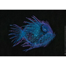 Heute bin ich. Kamishibai Bildkartenset