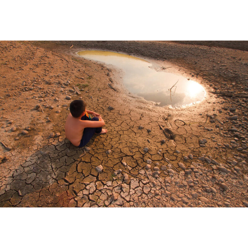 Kamishibai Karten Ist der Eisbär in Gefahr?