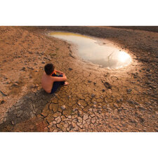 Der Eisbär / Kamishibai Bildkarten