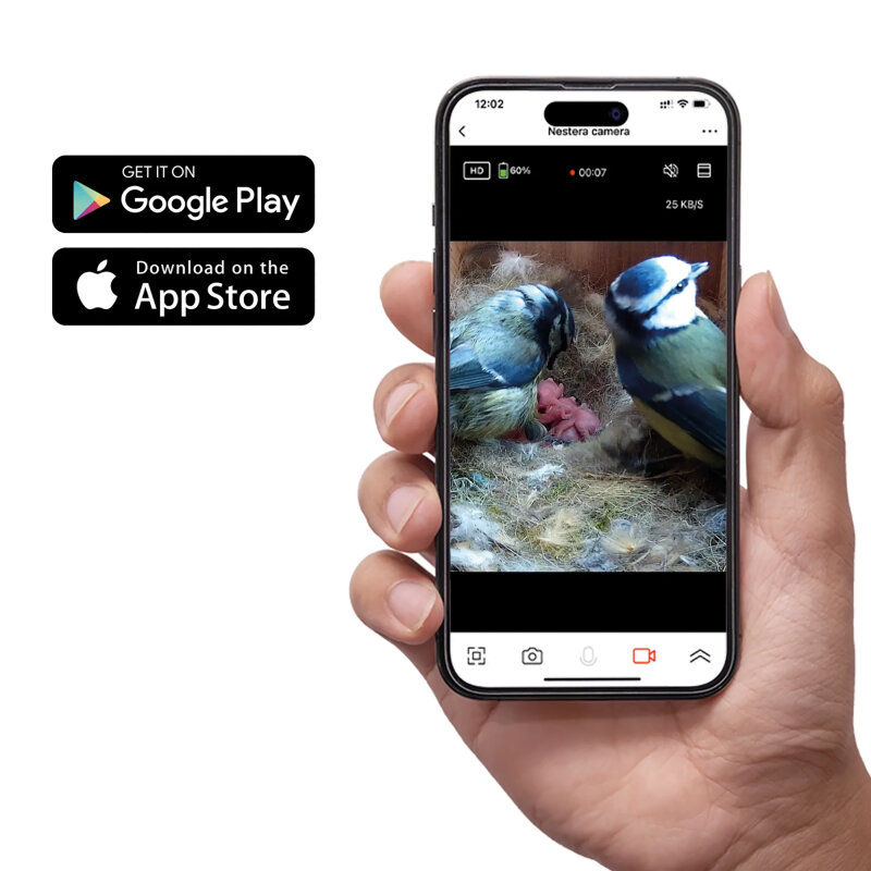 WiFi-Nistkasten mit Kamera