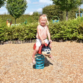 Robinie Federwipptier Marienkäfer