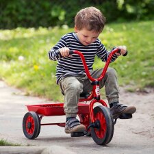 Mini Viking Krippendreirad mit Wanne Winther