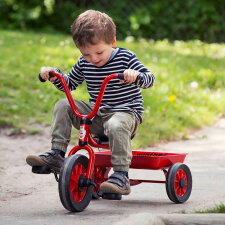 Mini Viking Krippendreirad mit Wanne