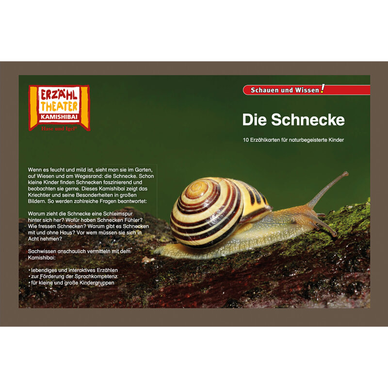 Kamishibai Karten Die Schnecke