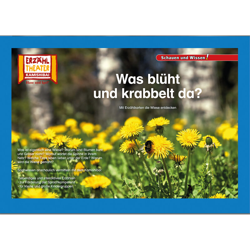 Kamishibai Karten Was blüht und krabbelt da?