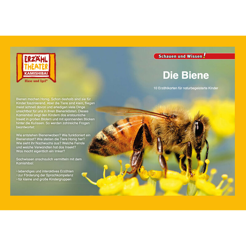 Kamishibai Karten Die Biene