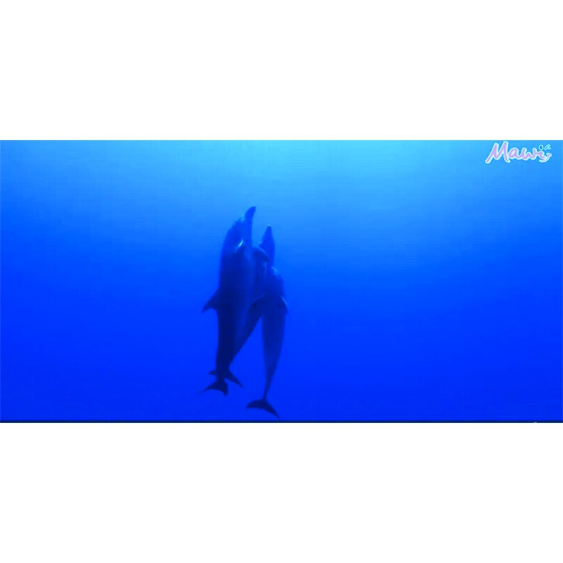 Traumreise Stick "Klang & Vision"