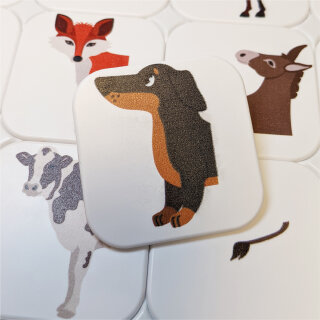 YOLI Spielset - Von Kopf bis Fuß