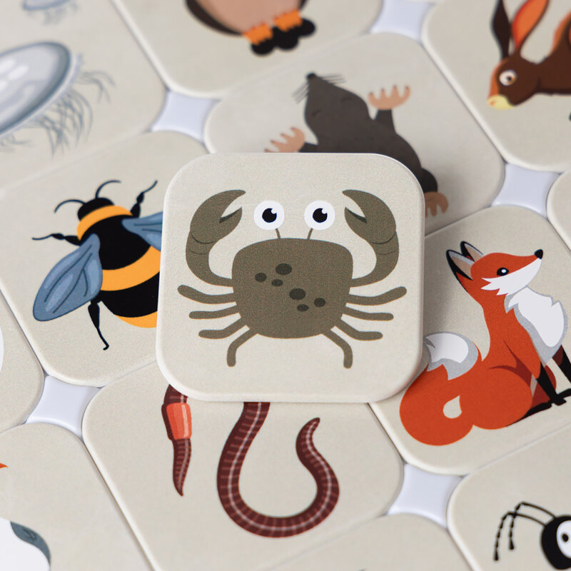 YOLI Spielset - Wo lebt dieses Tier?