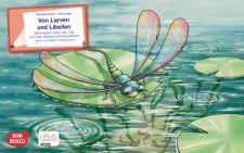 Von Larven und Libellen. Mit Kindern über den Tod...