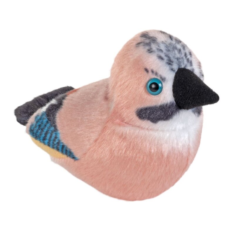 Singende Vögel einzeln