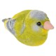 Singende Vögel