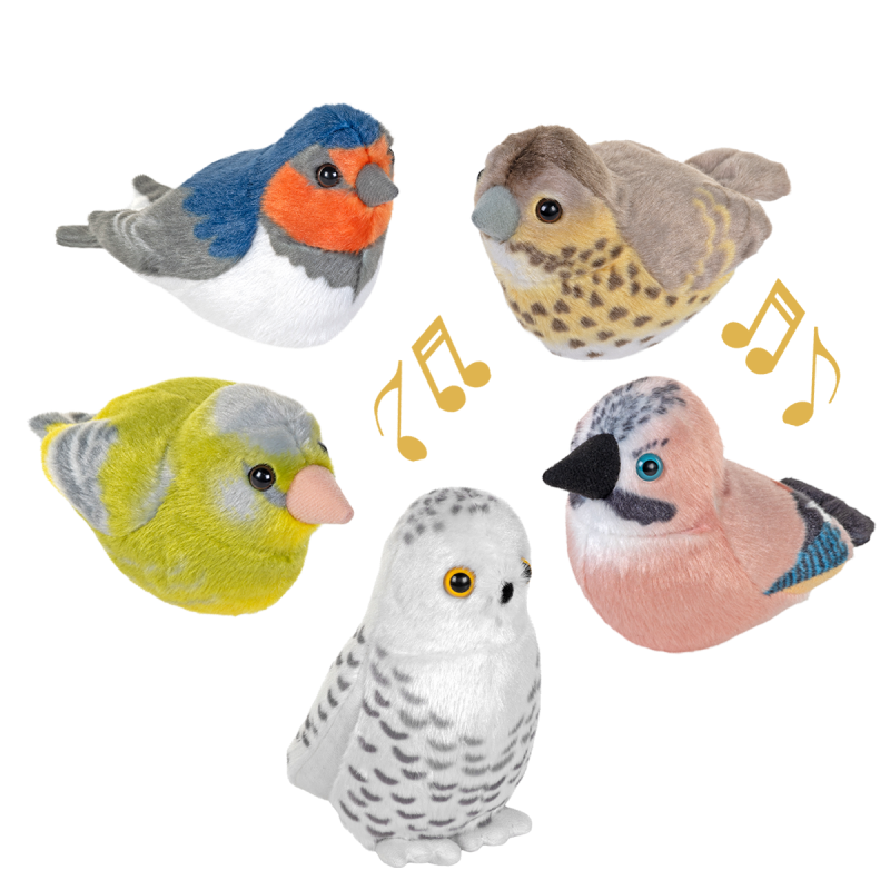 Singende Vögel 5er Set