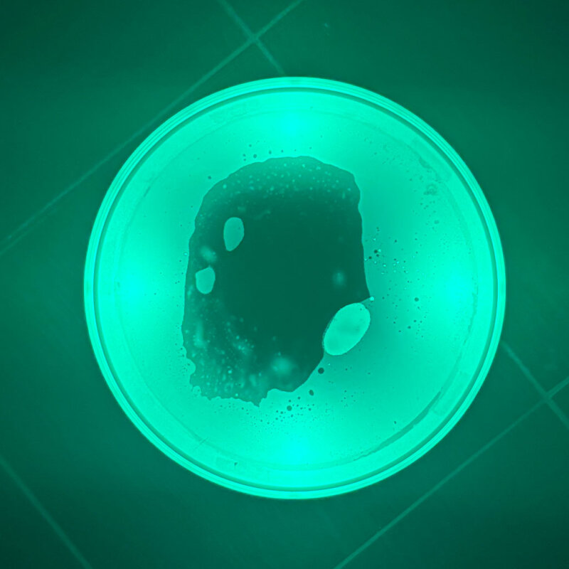 LED-Leuchtinseln 4er Set