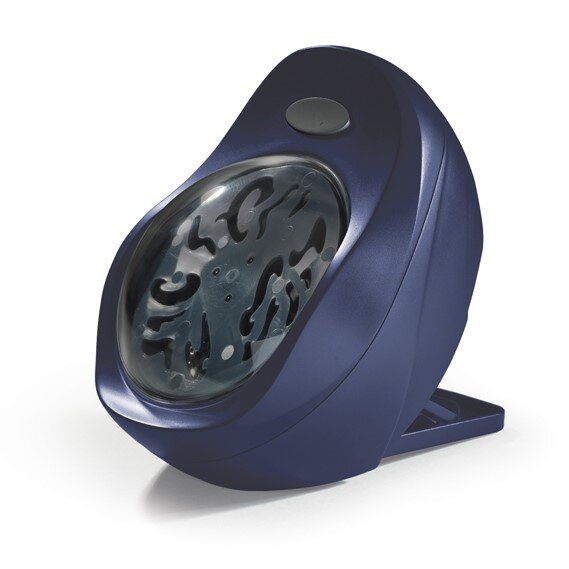 Traum-Schildkröte Oskar