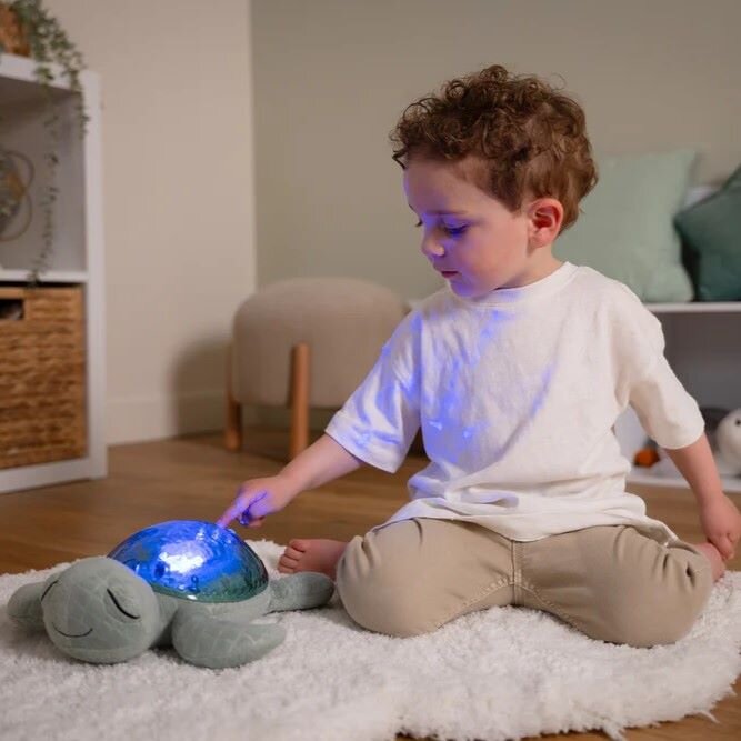 Traum-Schildkröte Oskar