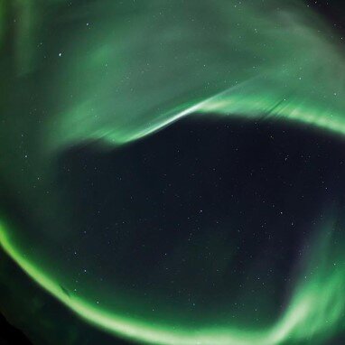 Traum-Schildkröte Oskar