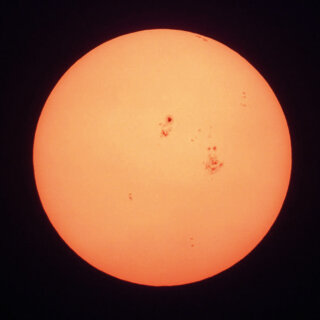 Traum-Schildkröte Oskar