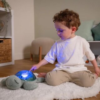 Traum-Schildkröte Oskar