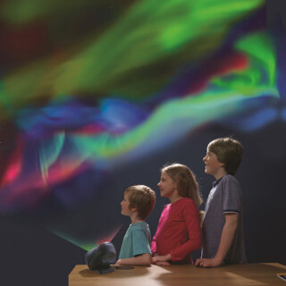 Traum-Schildkröte Oskar