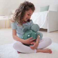 Traum-Schildkröte Oskar