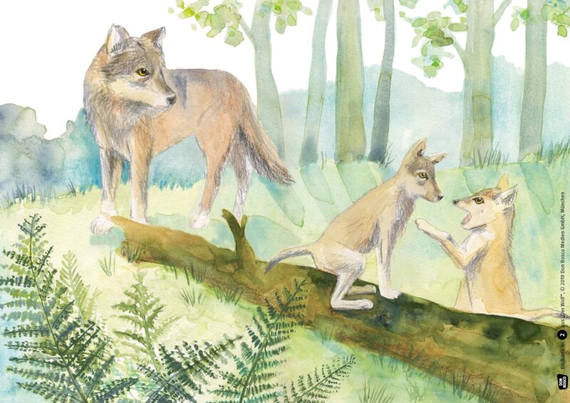 Der Wolf. Kamishibai Bildkartenset.