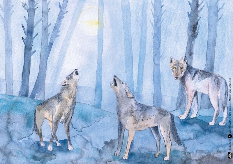 Der Wolf. Kamishibai Bildkartenset.