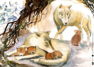 Der Wolf. Kamishibai Bildkartenset.