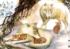 Der Wolf. Kamishibai Bildkartenset.