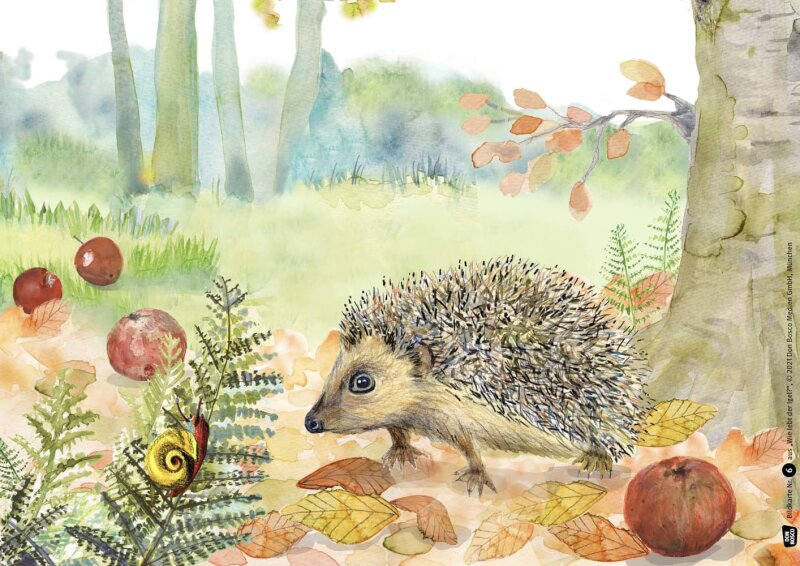 Wie lebt der Igel? Kamishibai Bildkartenset.