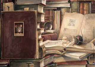 Lindbergh. Die abenteuerliche Geschichte einer fliegenden Maus. Kamishibai Bildkartenset