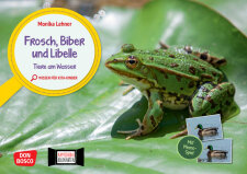 Frosch, Biber und Libelle. Tiere am Wasser. Kamishibai...