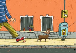 Wie und wo geht der Floh aufs Klo? Kamishibai Bildkartenset