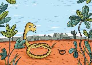 Wie und wo geht der Floh aufs Klo? Kamishibai Bildkartenset