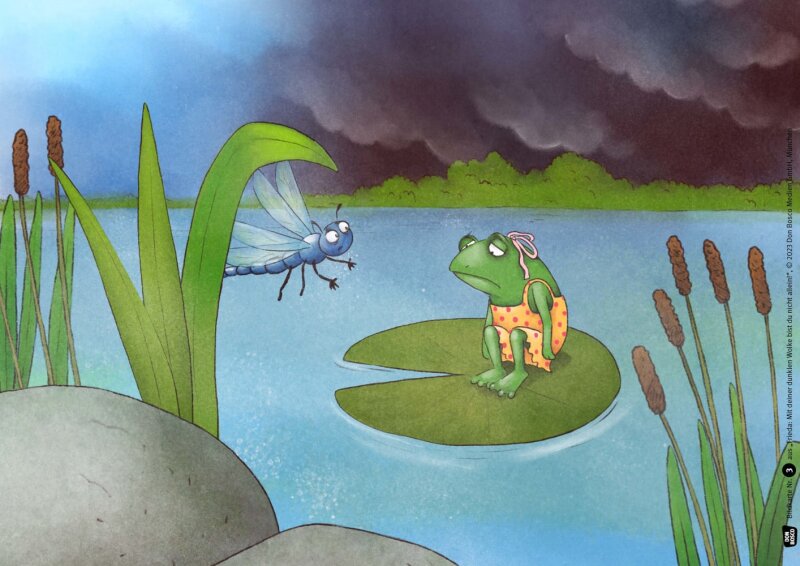 Frieda: Mit deiner dunklen Wolke bist du nicht allein! Kamishibai Bildkartenset