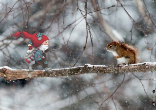 Winter im Wichtelwald. Kamishibai Bildkartenset