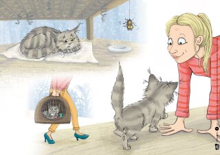 Judiths kleine Farm. Kater Jack sucht einen Freund. Kamishibai Bildkartenset