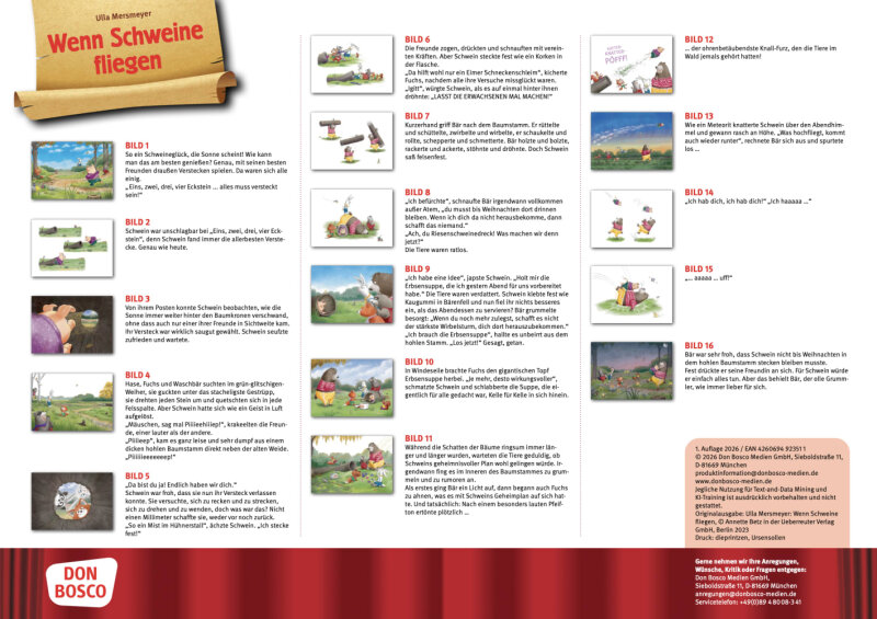 Wenn Schweine fliegen. Kamishibai Bildkartenset