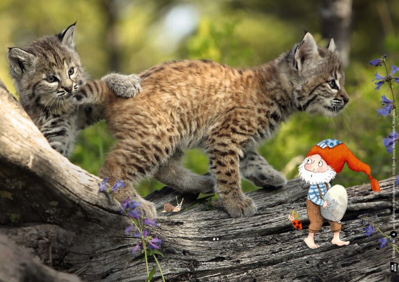 Frühling im Wichtelwald. Kamishibai Bildkartenset