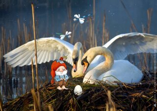 Frühling im Wichtelwald. Kamishibai Bildkartenset