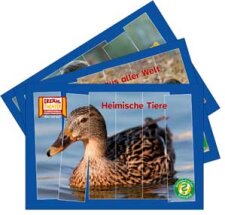 Rätselstreifen Ratespaß / Kamishibai Bildkarten