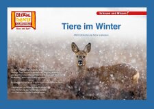Tiere im Winter / Kamishibai Bildkarten