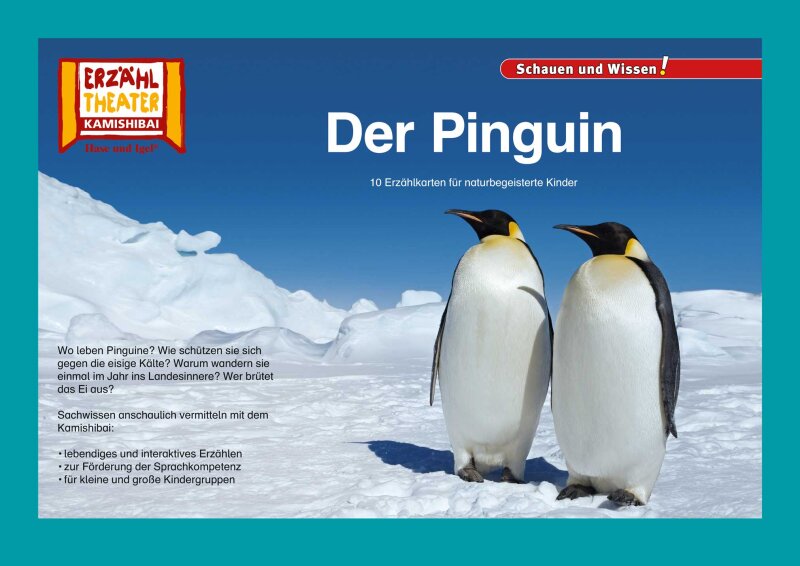 Der Pinguin / Kamishibai Bildkarten