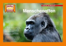 Menschenaffen / Kamishibai Bildkarten