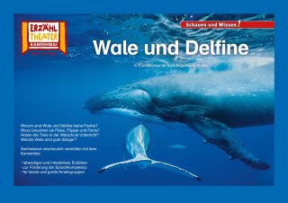 Wale und Delfine / Kamishibai Bildkarten