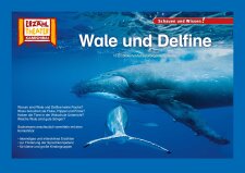 Wale und Delfine / Kamishibai Bildkarten