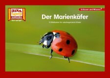 Der Marienkäfer / Kamishibai Bildkarten